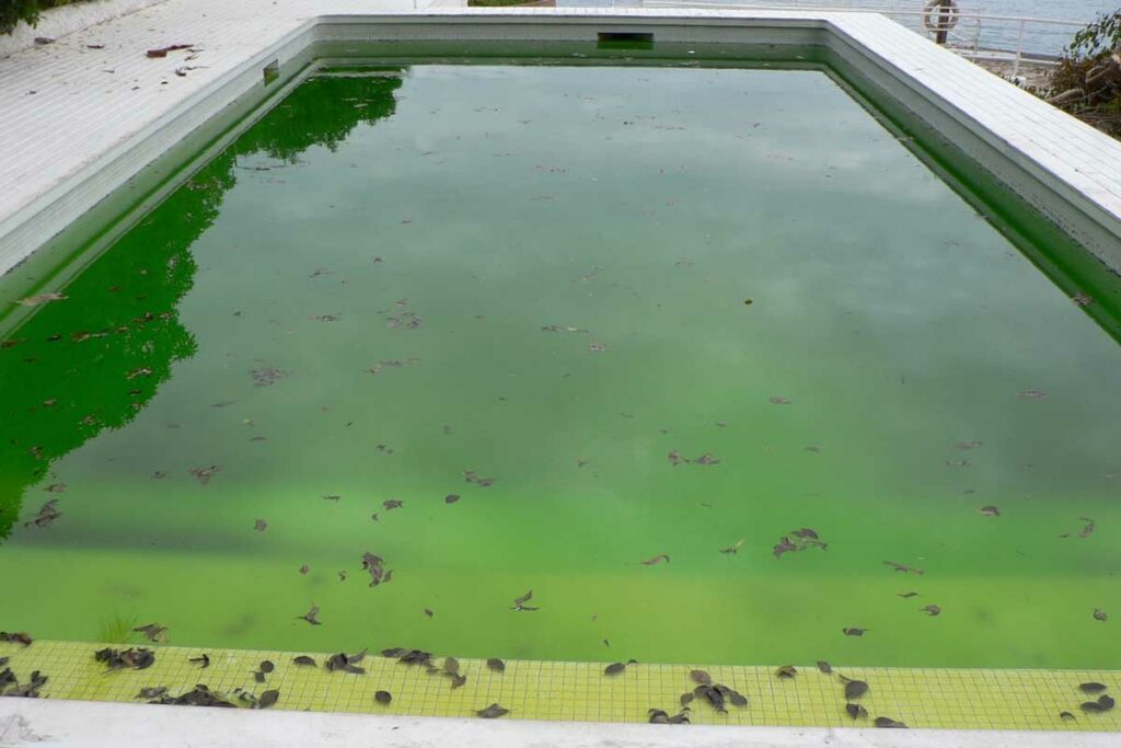 demande piscinste