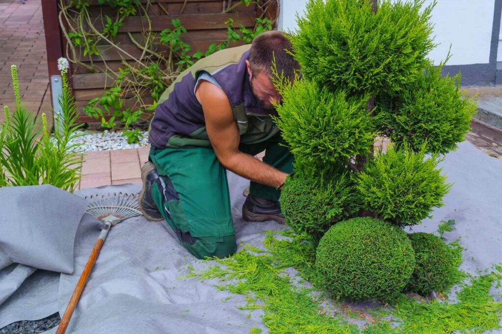 intervention jardinier paysagiste